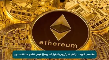 مكاسب قوية.. ارتفاع الإيثريوم يتجاوز 5% ويعزز فرص النمو هذا الأسبوع